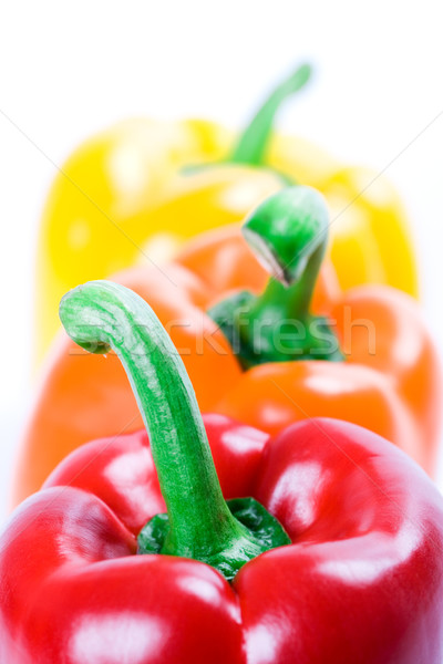 Drie bel paprika witte Rood Stockfoto © marylooo