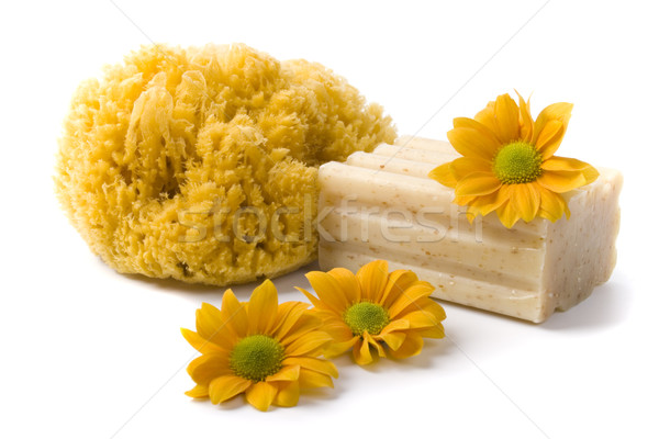 Foto stock: Naturales · esponja · jabón · flores · blanco · salud