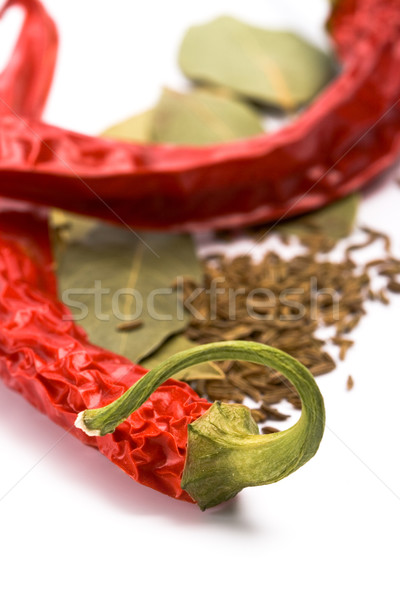 Stock foto: Kümmel · Blätter · weiß · Blatt · Hintergrund · rot