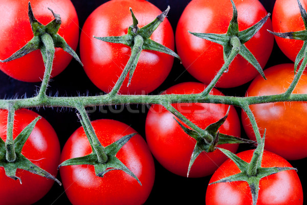 Branche tomates cerises fraîches noir alimentaire [[stock_photo]] © marylooo