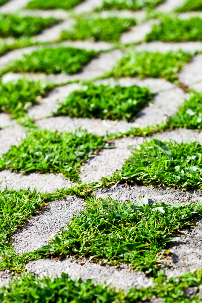 stone block walk path with green grass Stock photo © marylooo