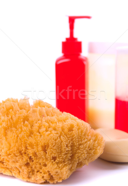 Naturales esponja jabón cuerpo loción blanco Foto stock © marylooo
