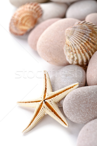 Stock photo: pile of stones, shells and sea star closeup on white background