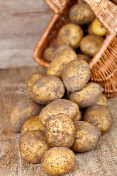 Stockfoto: Mand · vers · rustiek · houten · groene