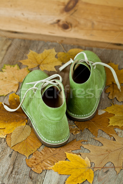 Foto stock: Par · verde · couro · botas · amarelo · folhas