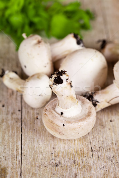 新鮮 香菜 鄉村 木 蘑菇 桶 商業照片 © marylooo