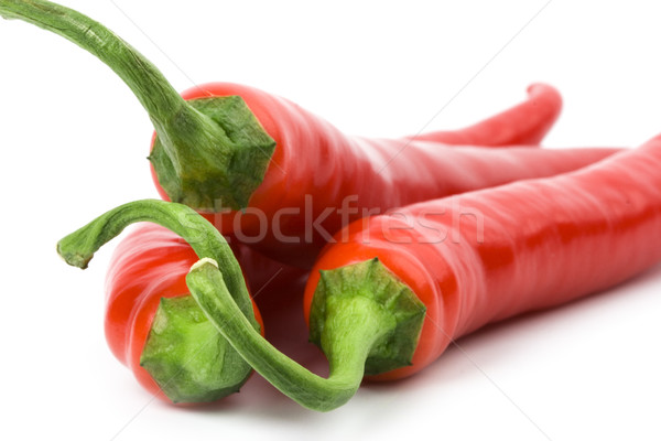 Drei rot kühl Paprika weiß Stock foto © marylooo