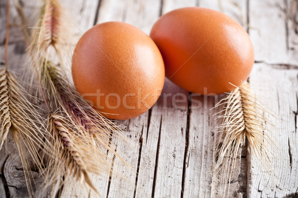 fresh eggs and wheat ears Stock photo © marylooo