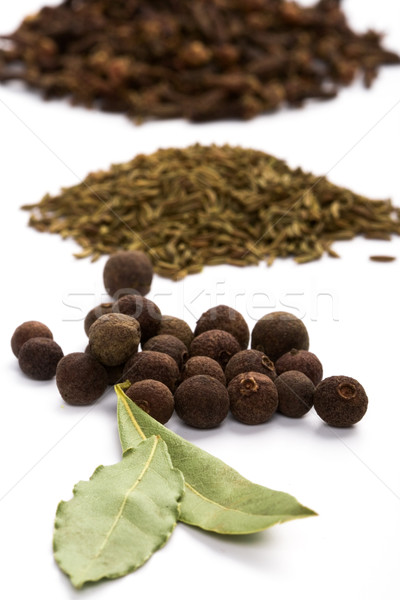 bay leaves, cloves, caraway and black pepper Stock photo © marylooo