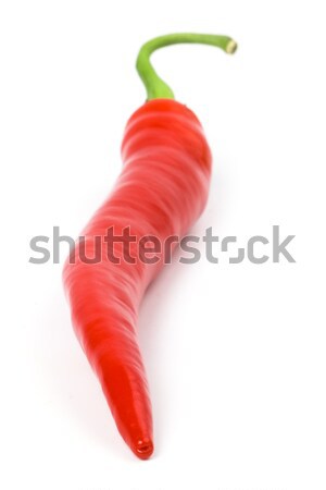 Piros hűvös bors izolált fehér étel Stock fotó © marylooo