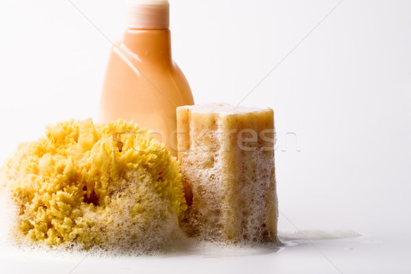 soap, natural sponge and shower gel Stock photo © marylooo