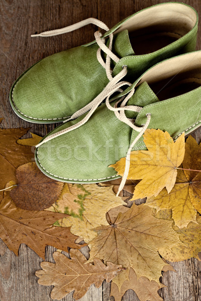 green leather boots and yellow leaves  Stock photo © marylooo