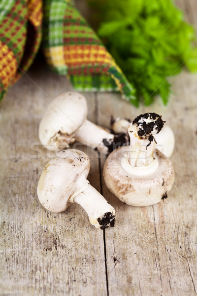  fresh champignons Stock photo © marylooo