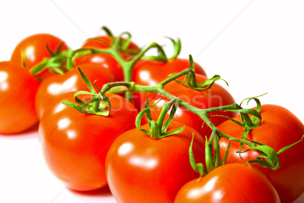 Vers tomaten tak natuur groene kleur Stockfoto © marylooo