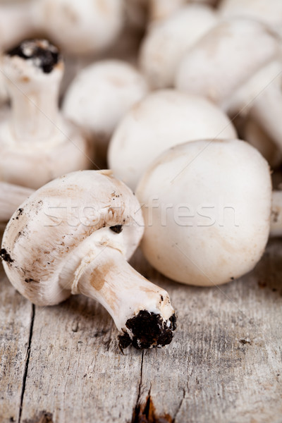 fresh champignons Stock photo © marylooo