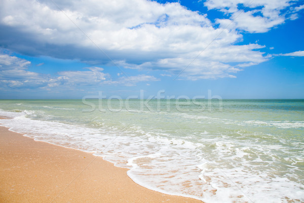 sand beach of Adriatic Sea, Italy Stock photo © marylooo