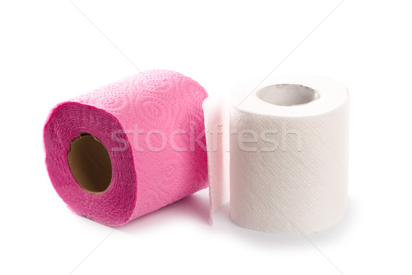 two toilet paper rolls  Stock photo © marylooo