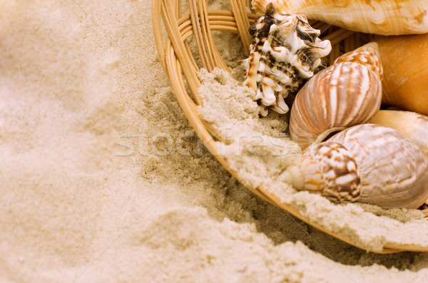 Conchiglie basket sabbia spiaggia mare estate Foto d'archivio © marylooo