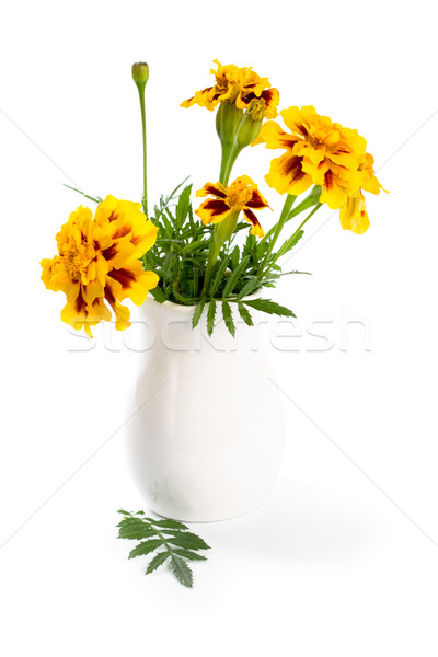 marigold flowers in vase Stock photo © marylooo