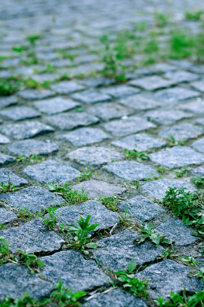 Rutier gri pietre vechi iarbă verde Imagine de stoc © marylooo