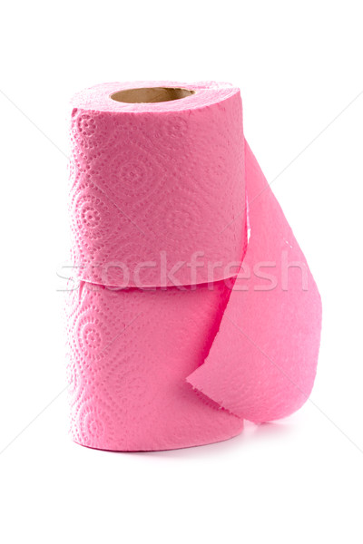 toilet paper rolls Stock photo © marylooo