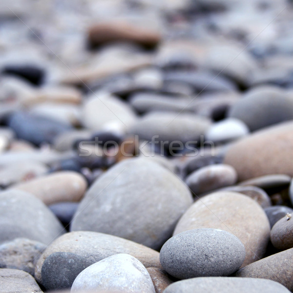 Foto d'archivio: Ciottoli · primo · piano · giardino · rock · fiume · piano