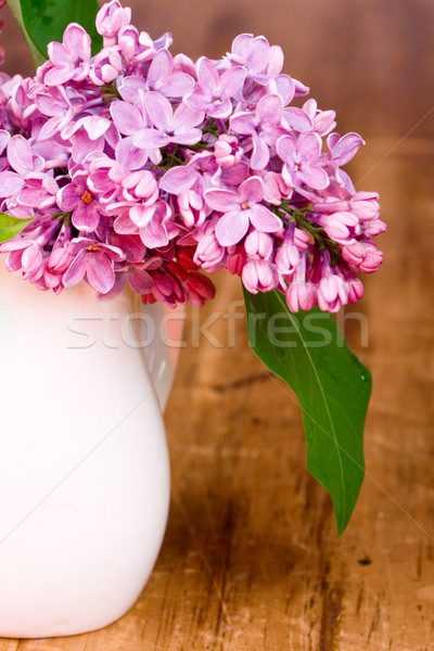 小 白 花瓶 木桌 葉 商業照片 © marylooo