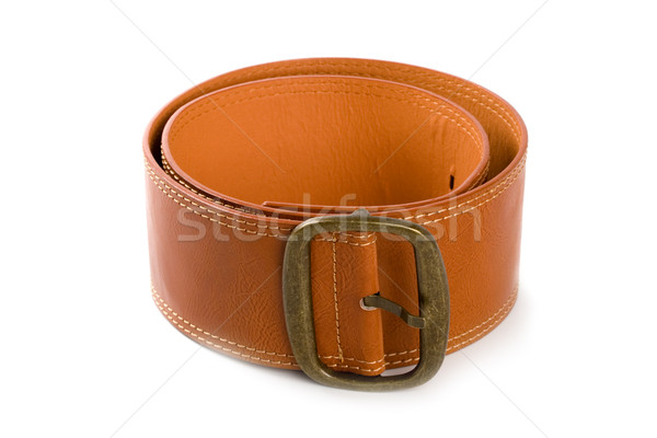 brown belt with bronze buckle Stock photo © marylooo