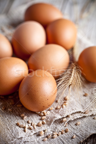  fresh brown eggs, wheat seads and ears  Stock photo © marylooo
