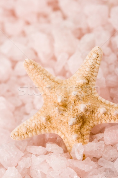 starfish in the sea salt Stock photo © marylooo