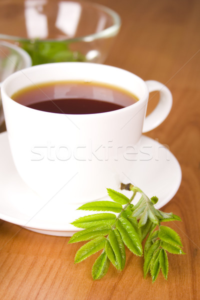 cup of black tea Stock photo © marylooo