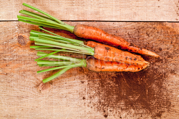 fresh carrots bunch Stock photo © marylooo