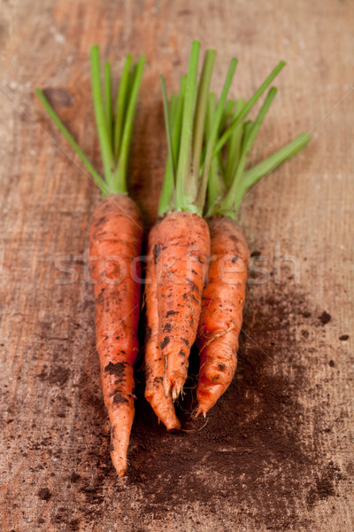 fresh carrots bunch Stock photo © marylooo