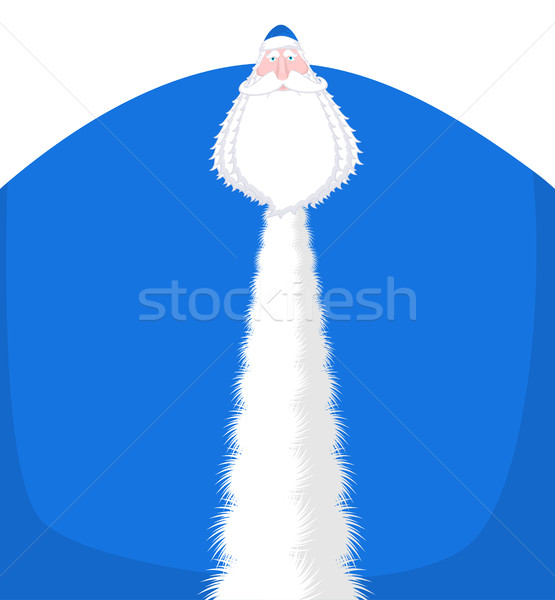 Russian Santa Claus ( Ded moroz). Santa of Russia- Father Frost. Stock photo © MaryValery