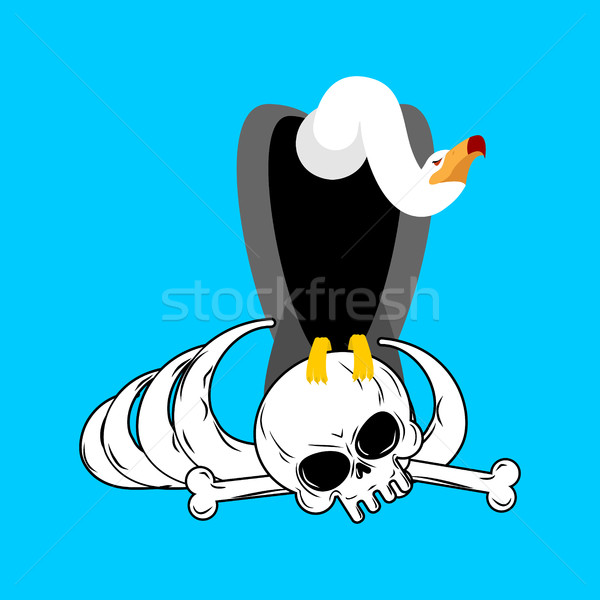 Vulture on bones. Buzzard and skeleton. Scavenger birds and skul Stock photo © MaryValery