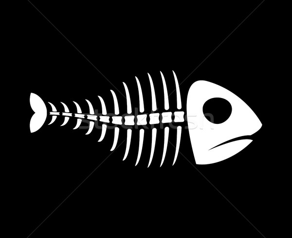 Fish bones isolated. fishy Skeleton on white background Stock photo © MaryValery
