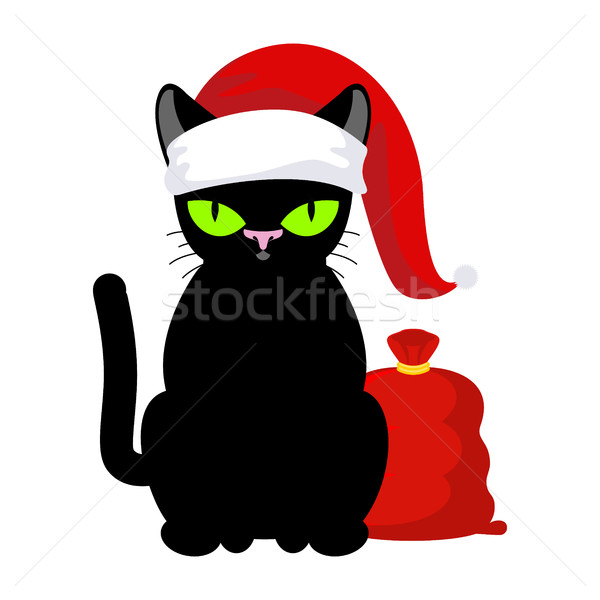 Foto d'archivio: Babbo · natale · cat · pet · Natale · Hat · rosso