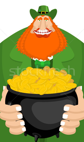 St. Patrick's Day. Leprechaun and pot of gold. Magic dwarf and b Stock photo © MaryValery