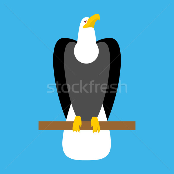 Bald eagle isolated. Big Bird symbol of America Stock photo © MaryValery