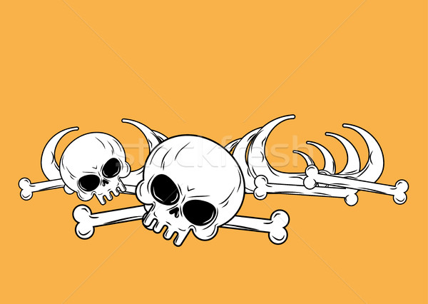 human remains  isolated. Bones, Skeleton and skull Stock photo © MaryValery