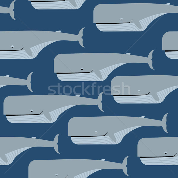 Sperm whale seamless pattern. Blue whale vector background. Grea Stock photo © MaryValery