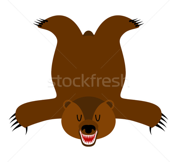 Grizzly Bearskin. Skin of bear isolated. Hunter trophy isolated. Stock photo © MaryValery