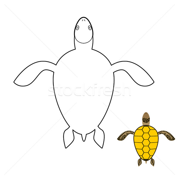 Turtle coloring book. Marine reptiles. Vector illustration Stock photo © MaryValery