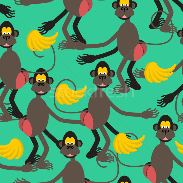 Hamadryad seamless pattern. monkey red butt and banana backgroun Stock photo © MaryValery