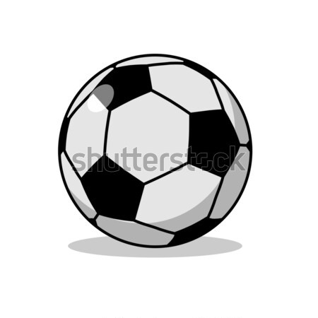 Soccer ball isolated. Sports accessories for football. Scope for Stock photo © MaryValery