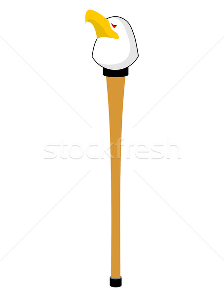 walking stick with head eagle. gentleman accessory Stock photo © MaryValery