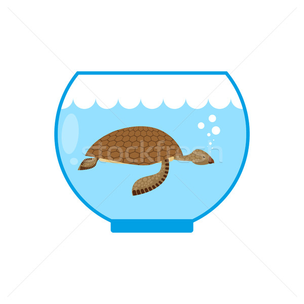 Sea turtle in an aquarium. Water animal Pet in captivity.  Stock photo © MaryValery