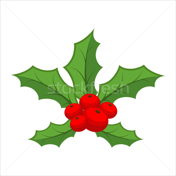 Mistletoe isolated. Traditional Christmas plant. Holiday red ber Stock photo © MaryValery