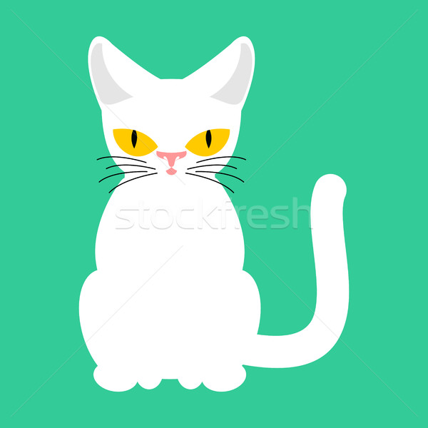 ストックフォト: 白 · 猫 · 孤立した · ペット · 緑 · 髪