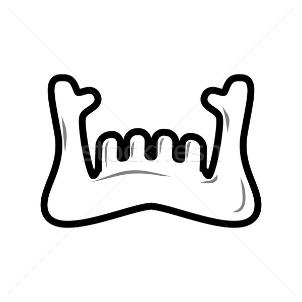 Mandible human isolated. Lower jaw. Anatomy of bone. Part of sku Stock photo © MaryValery